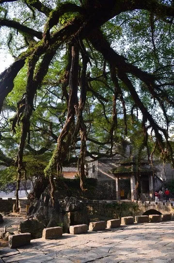 博皓游記 | 夏風(fēng)微醺的綺夢，領(lǐng)略賀州黃姚古鎮(zhèn)、姑婆山閑憩之美-12