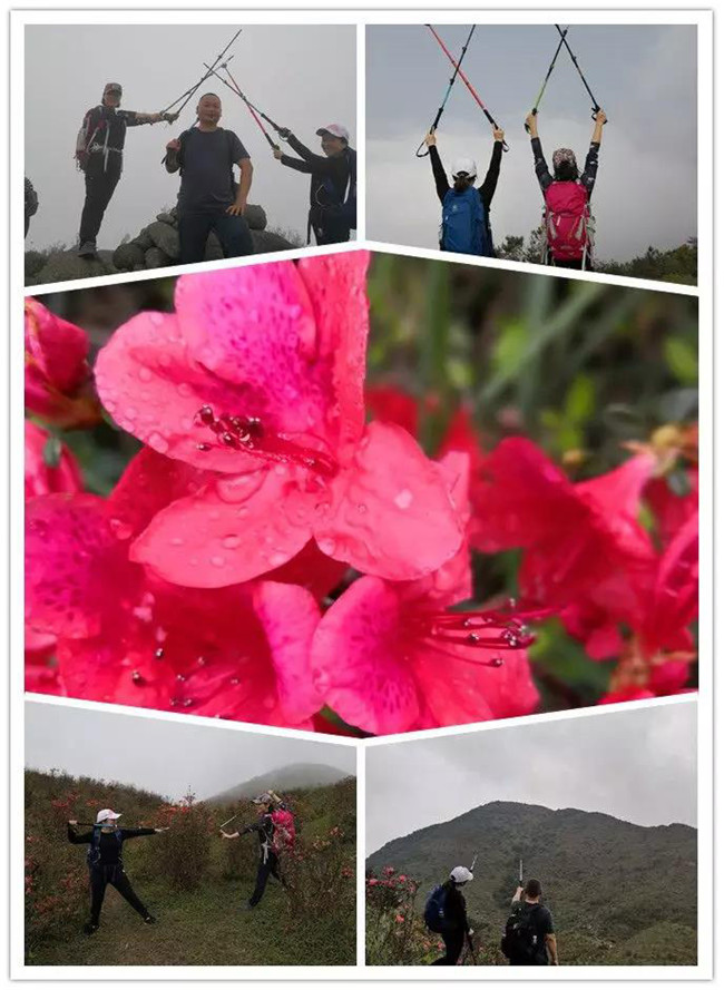 3月29日，云浮新興縣登天麓山&賞杜鵑花