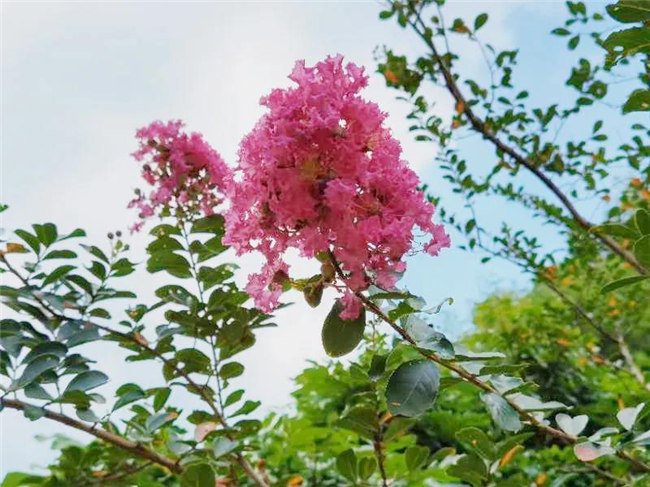 呼吸鮮氧，踐行公益——廣東博皓公益活動(dòng)：星溪線公益環(huán)?；顒?dòng)   -5