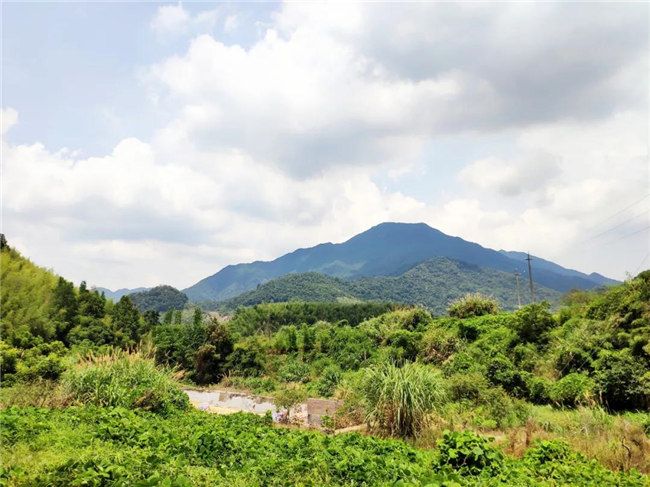 呼吸鮮氧，踐行公益——廣東博皓公益活動(dòng)：星溪線公益環(huán)?；顒?dòng)   -6