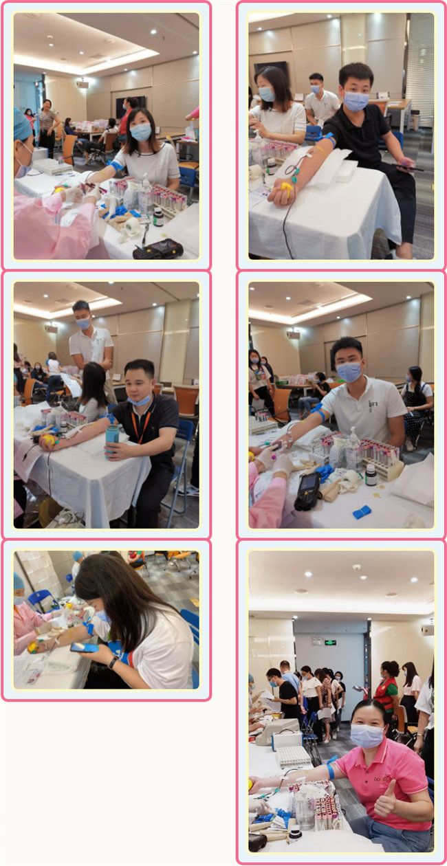 捐獻青春熱血，彩繪人生畫卷——廣東博皓總班委組織了一次“捐我熱血，呵護生命”的無償獻血公益活動    -3