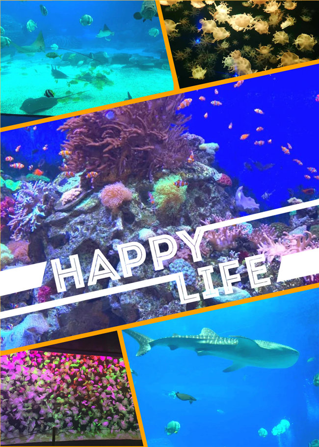 廣東博皓親子游：珠海長(zhǎng)隆海洋王國(guó)，探索海洋生物的奧秘，奇妙的動(dòng)物世界