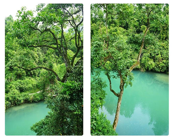 多彩貴州，魅力天下，2021年廣東博皓快樂貴州行-29