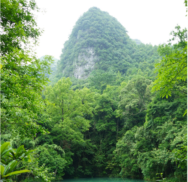 賞華夏大地，游多彩貴州-－2021年廣東博皓快樂行-2
