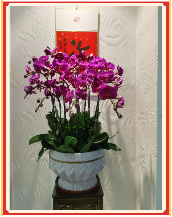 廣東博皓開(kāi)工大吉丨金虎騰躍，兔來(lái)運(yùn)轉(zhuǎn)           -23