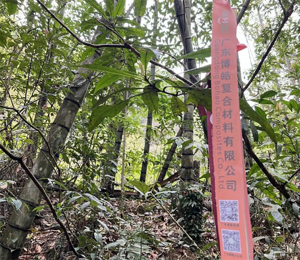 凝心聚力再出發(fā)，風(fēng)雨同舟赴星溪！--廣東博皓2024龍年首登星溪之旅     -2