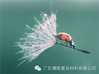 【博皓感悟】成功，要“借力”，不要“盡力”