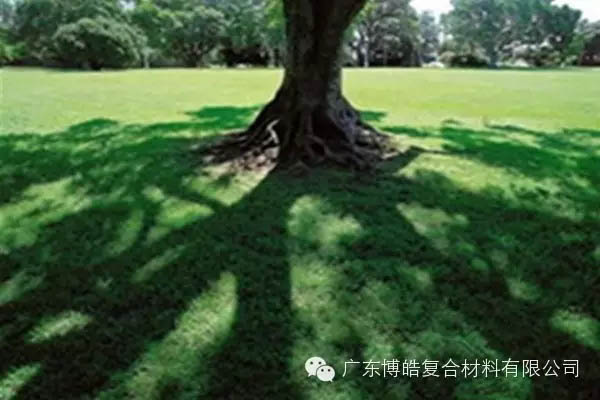 【博皓感悟】欲為大樹，莫與草爭-6