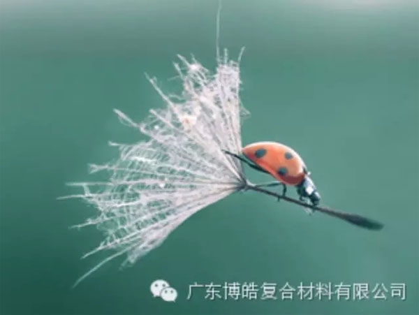 【博皓感悟】成功，要“借力”，不要“盡力”